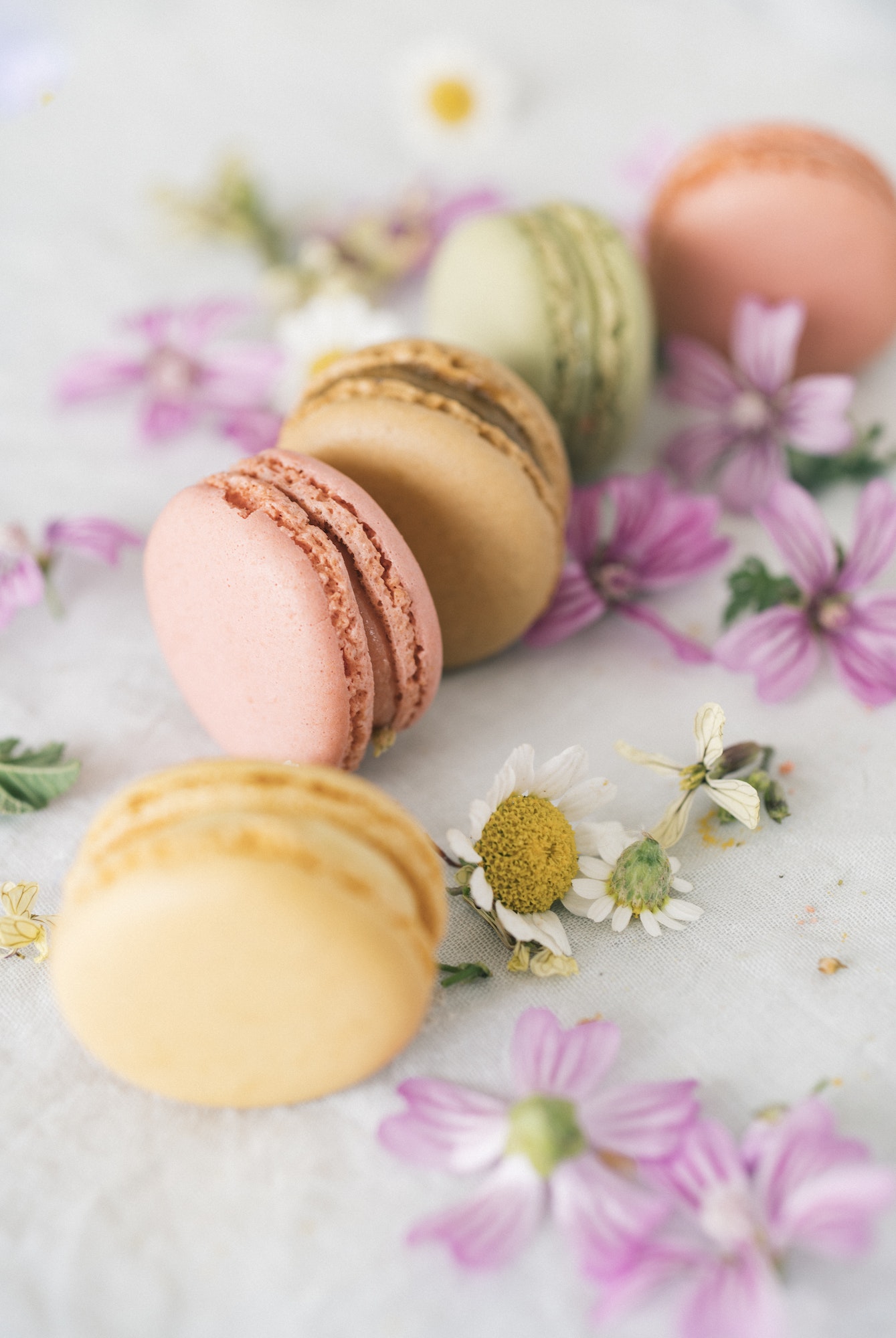 colorful-macarons-on-the-table-1.jpg